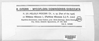 Meliola procera image